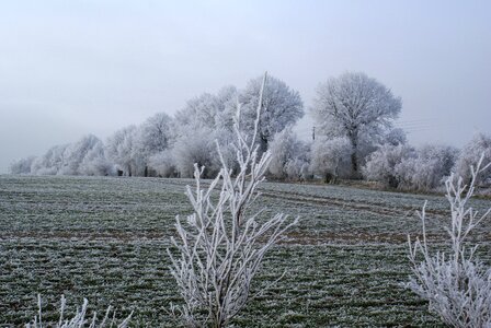 Cold winter magic winter
