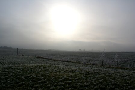 Frost fog sunlight