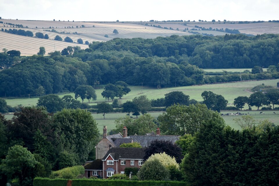 Countryside fields green