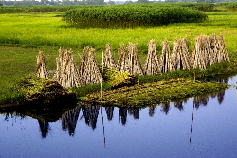 Bangladesh jute village