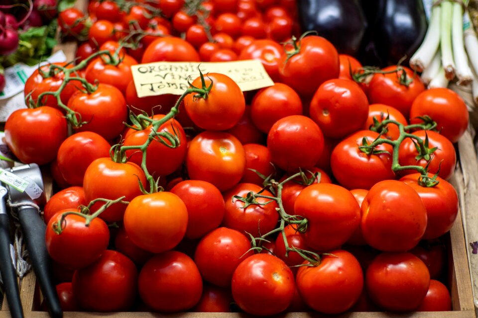 Food ireland tomatoes