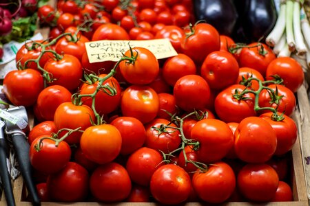 Food ireland tomatoes