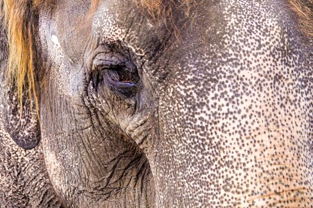 Eye zoo hanover