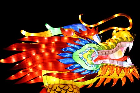 Fairytales dragons mystical