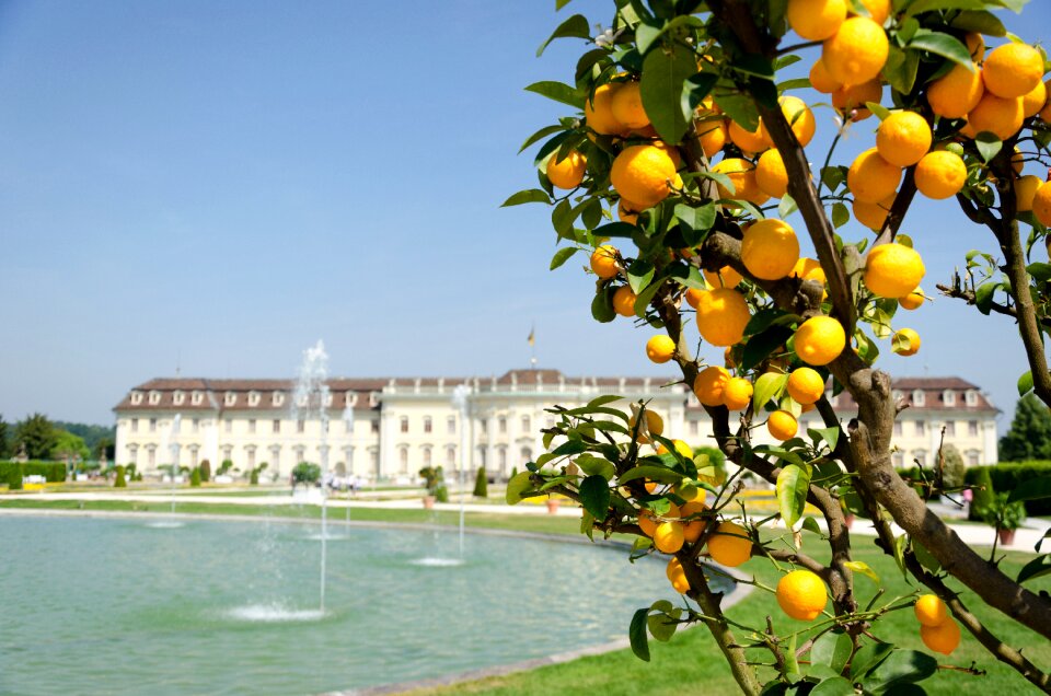 Park garden residenzschloss