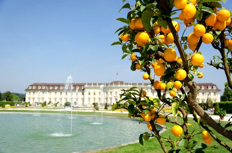 Park garden residenzschloss