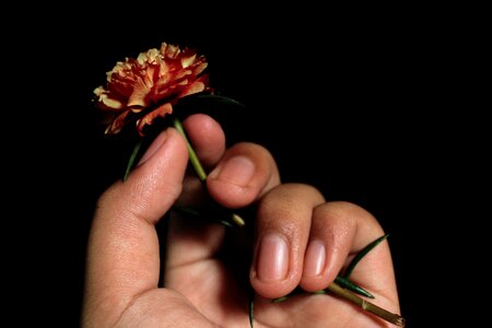 Flowers hold give
