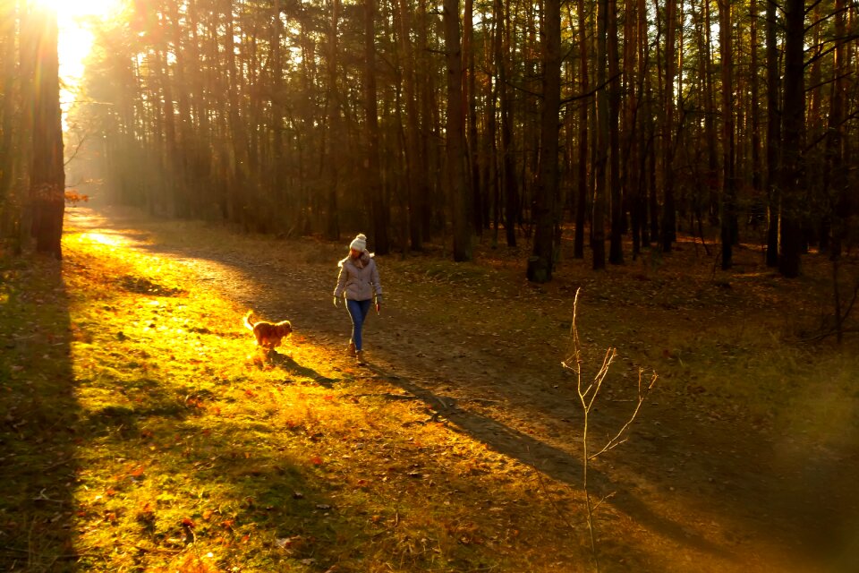 Seasons of the year woman dog