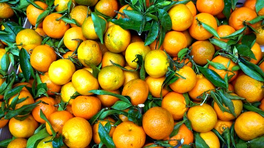 Vitamins fresh citrus fruits