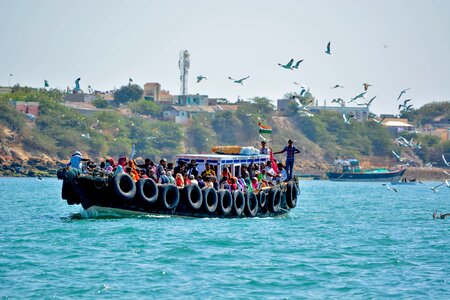 Boat passenger birds