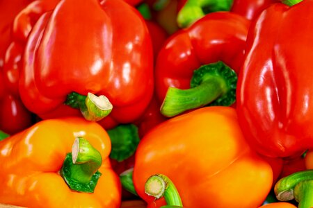 Healthy rich in vitamins pepper photo