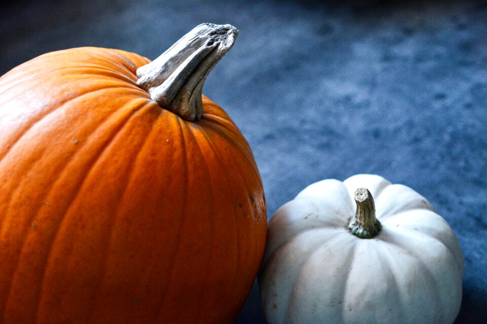Pumpkin halloween orange