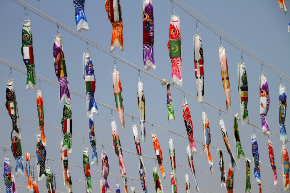 Fish symbol decoration