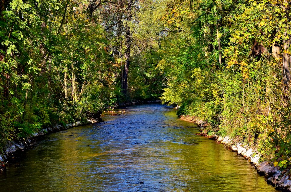 Creek waters flowing