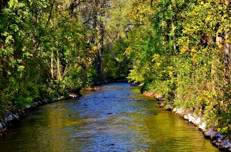 Creek waters flowing