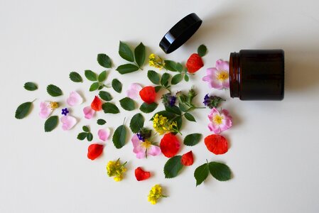 Beauty skin care wellness
