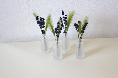 Spike decoration flowers photo