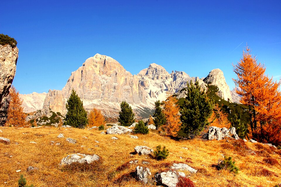 Landscape nature panorama