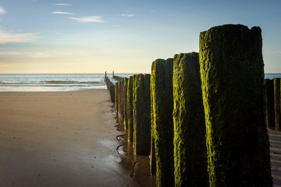 Coast wood pile sand photo