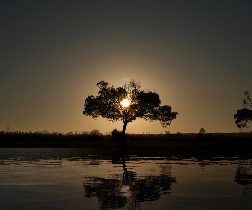 Nature dawn outdoors
