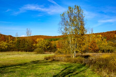 Colors nature landscape photo