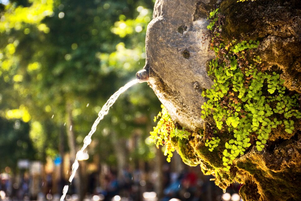 Running water vegetation greenery