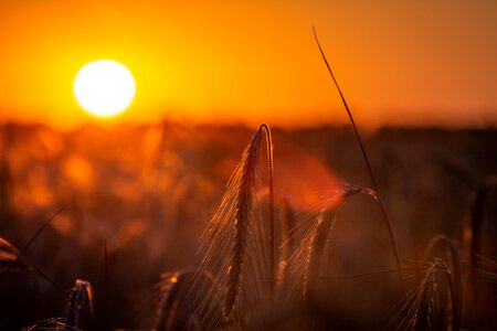 Summer sun mood