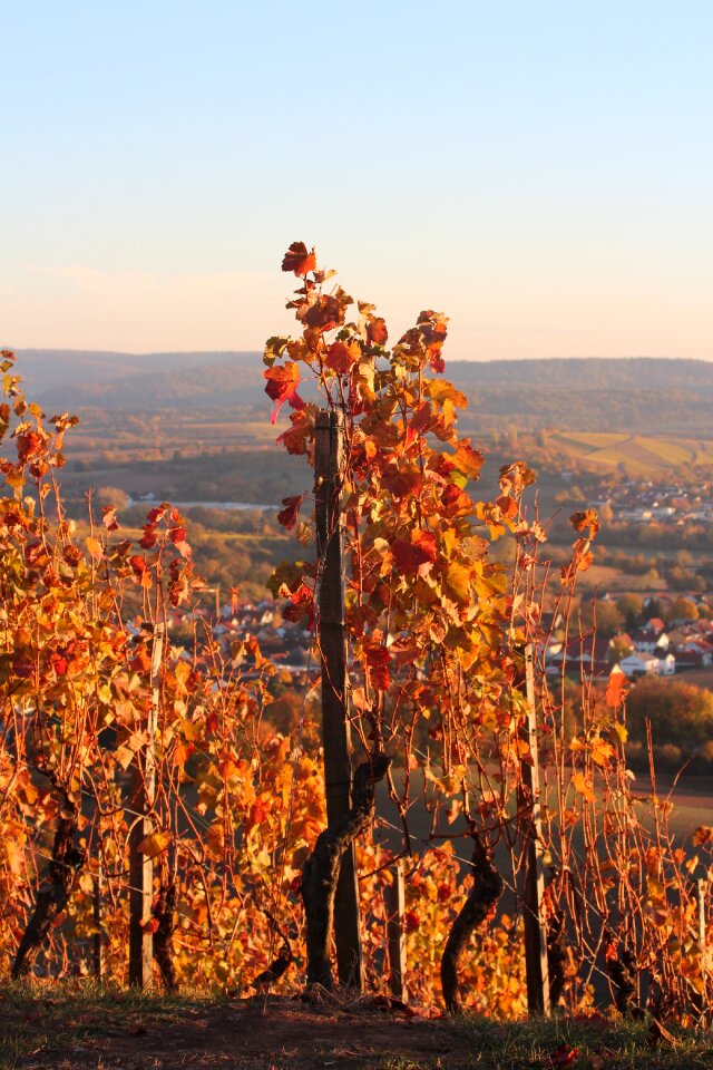 Colorful autumn landscape