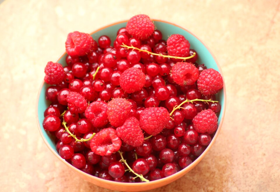 Summer fruit years red