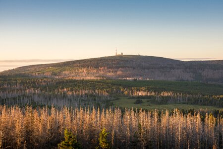 Landscape forest highlands