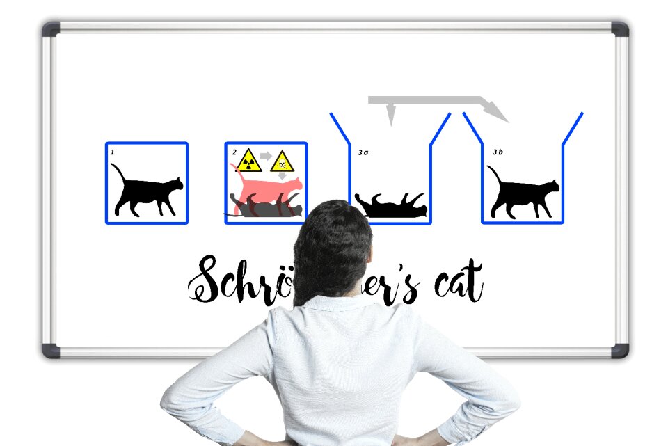 Quantum mechanics paradox cat