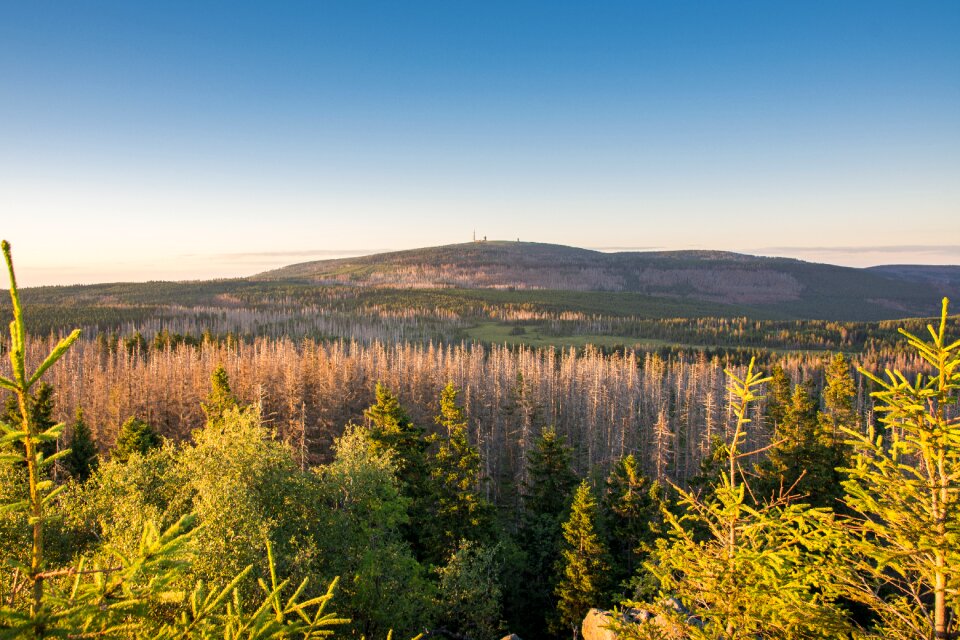 Landscape forest highlands