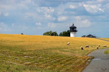 Travel coast dune photo