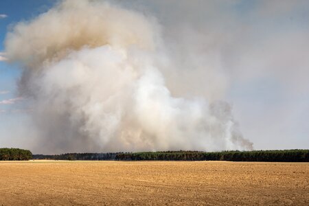 Forest fire danger fire smoke photo