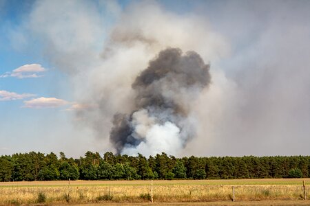 Forest fire danger fire smoke photo