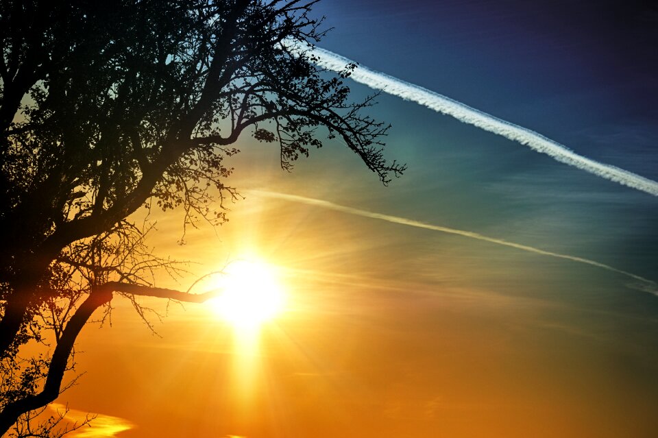 Sunset sunlight light
