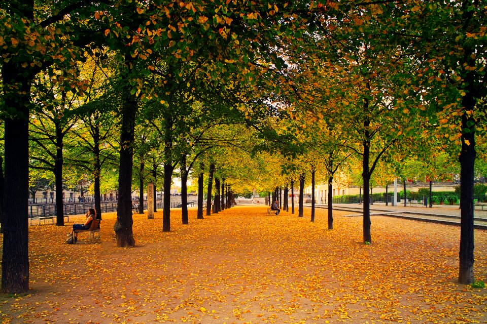 Nature green orange