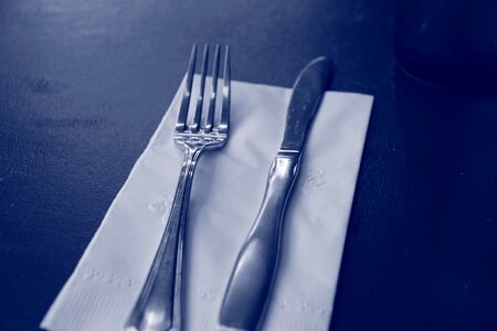 Meal gastronomy menu