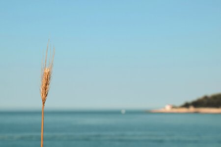 Ary mediterranean coast