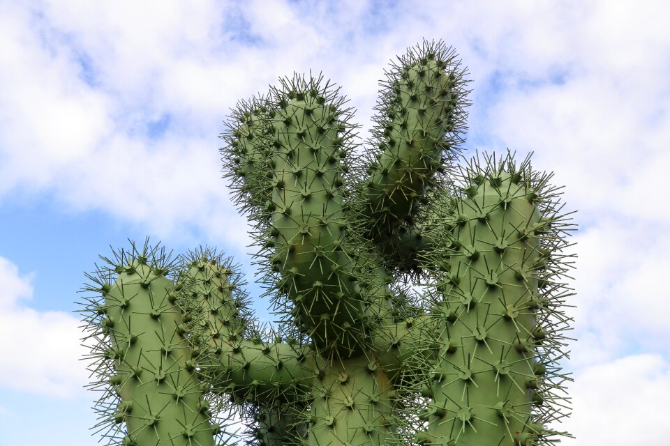 Cactus monument sculpture