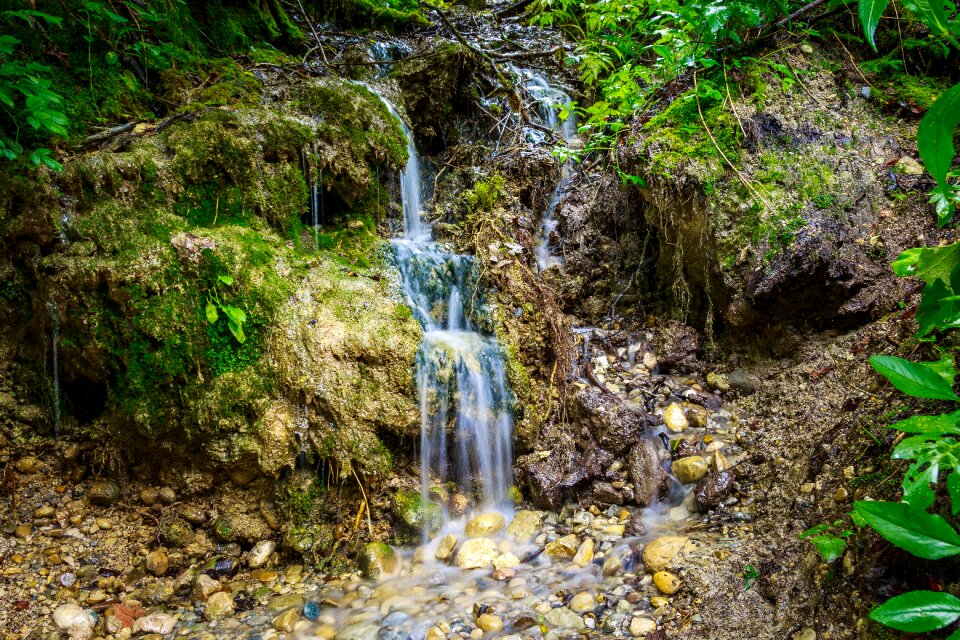 Nature reserve gem
