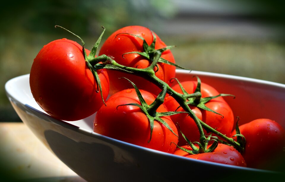 Vegetarian food vegetables