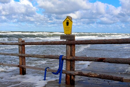 Reserve baltic sea darß photo