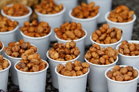 Horchata groundnuts valencia