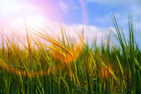 Light sun sunbeam
