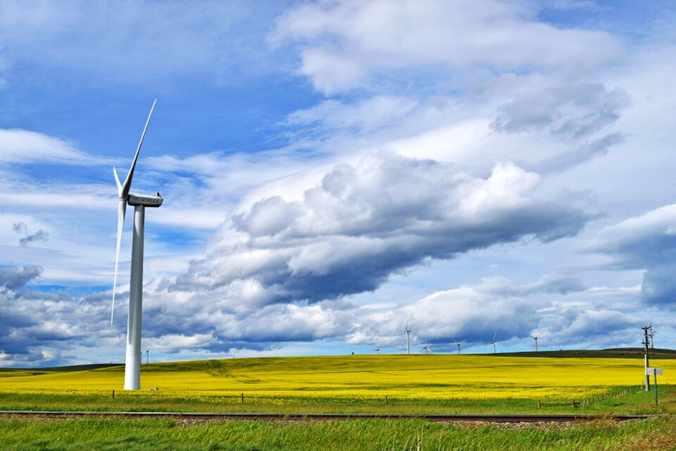 Landscape agriculture field