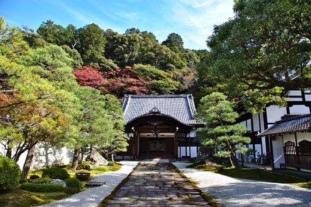 Temple garden architecture photo