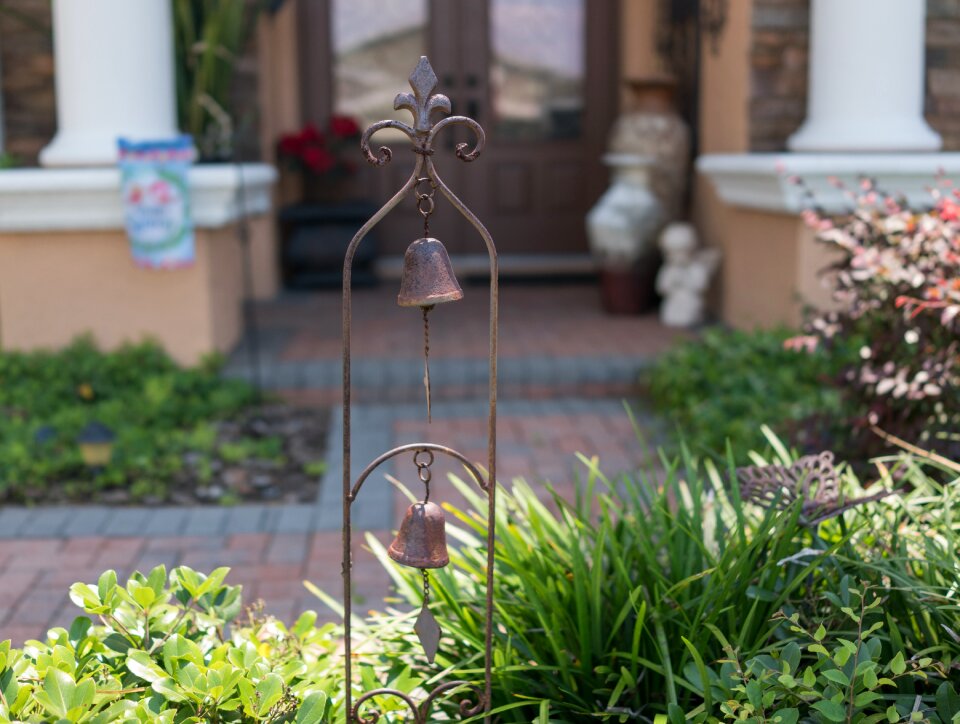 Garden flora outdoors