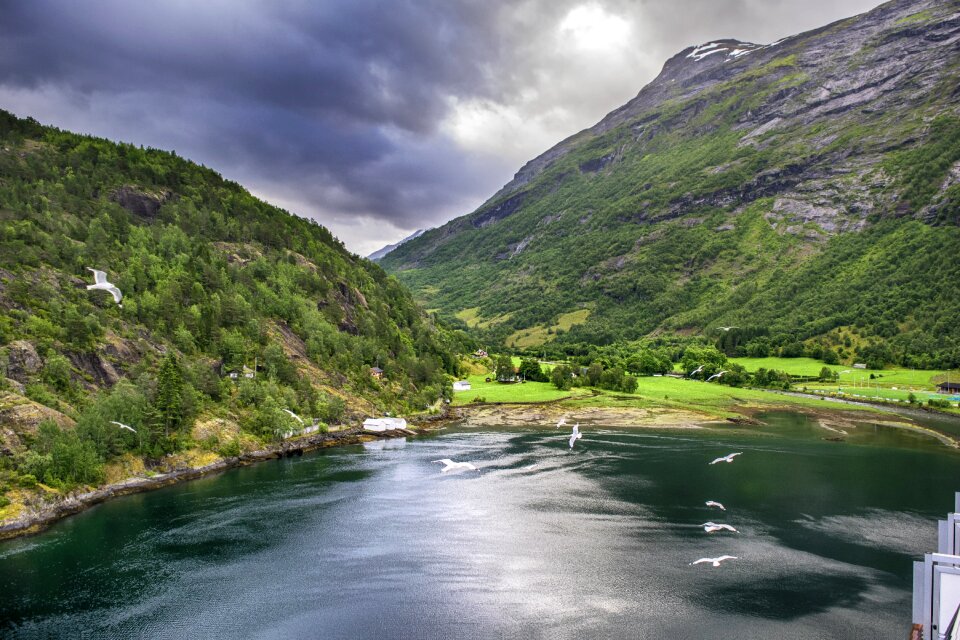 Fjord birds norway