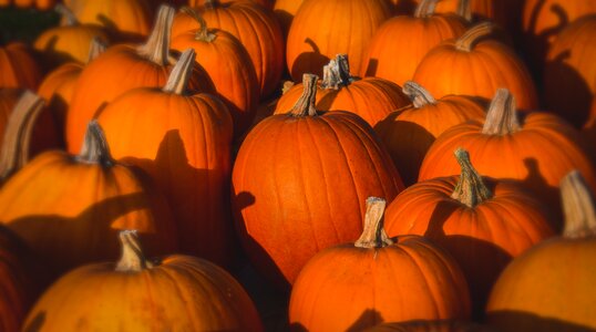Fall decoration halloween